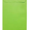 Pochette vert bambou
