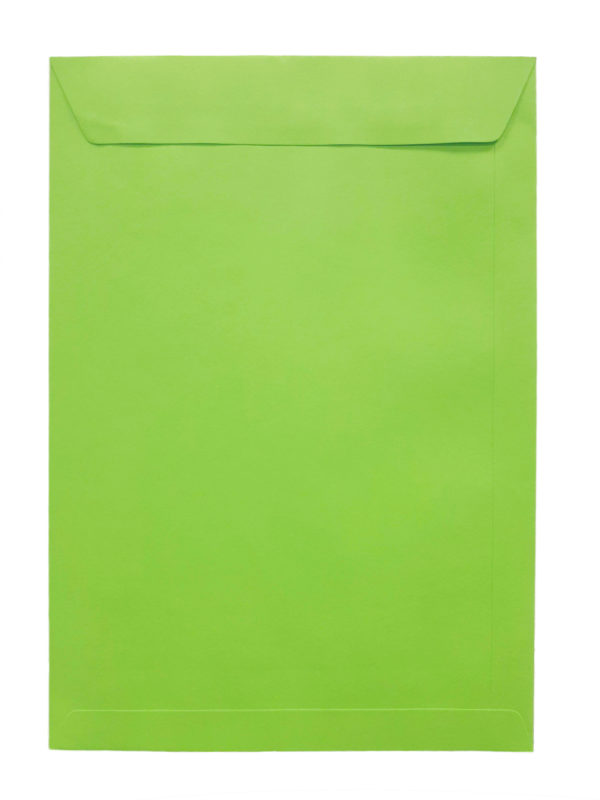 Pochette vert bambou