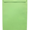 Pochette vert clair