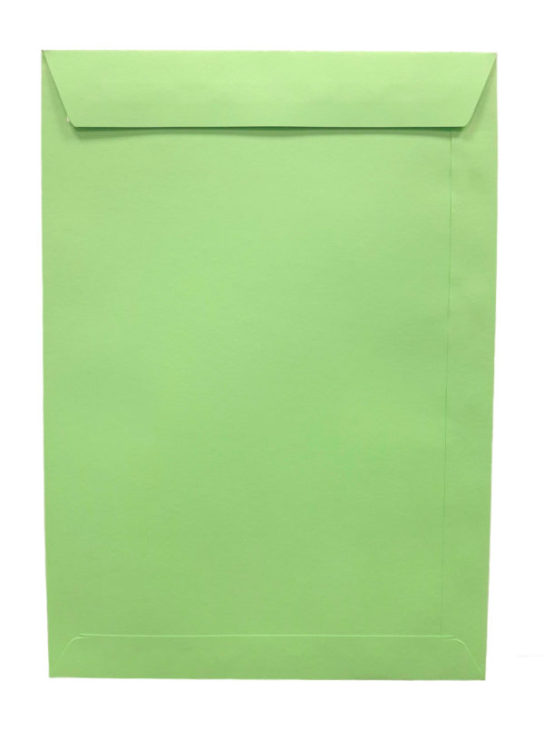 Pochette vert clair