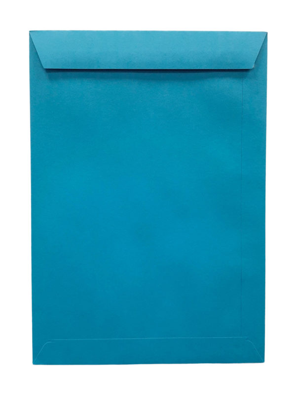 Pochette bleu martin